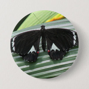 Zwart-wit tropische vlinder ronde button 7,6 cm
