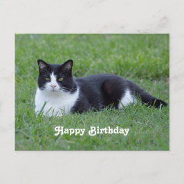  zwart-wit Tuxedo Cat Birthday Briefkaart