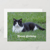 zwart-wit Tuxedo Cat Birthday Briefkaart (Voorkant / Achterkant)