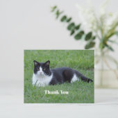 zwart-wit Tuxedo Cat Foto Dank U Briefkaart (Staand voorkant)