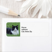  zwart-wit Tuxedo Cat Foto Etiket (Insitu)