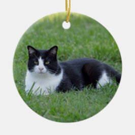 zwart-wit Tuxedo Cat Foto Keramisch Ornament
