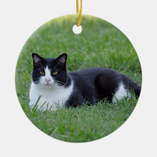  zwart-wit Tuxedo Cat Foto Keramisch Ornament (Voorkant)