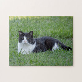  zwart-wit Tuxedo Cat Foto Legpuzzel