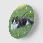 zwart-wit Tuxedo Cat Foto Ronde Klok (Hoek)