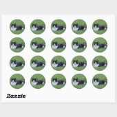  zwart-wit Tuxedo Cat Foto Ronde Sticker (Vel)