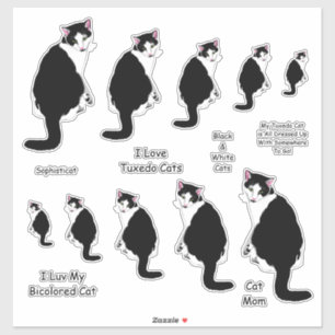 Zwart-wit Tuxedo Cat Lg Sticker Set