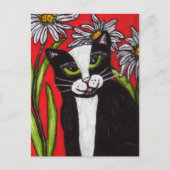 Zwart Wit Tuxedo Cat White Daisies Levendig Rood Briefkaart (Voorkant)