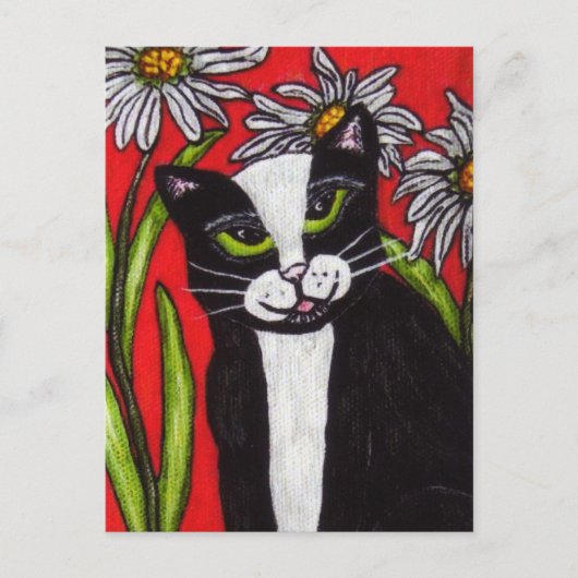 Zwart Wit Tuxedo Cat White Daisies Levendig Rood Briefkaart (Voorkant)