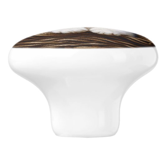 Zwart-wit Tuxedo Cat Winter Scene Schilderij Keramische Knop (Zijkant)