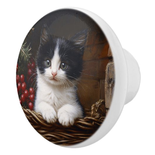 Zwart-wit Tuxedo Cat Winter Scene Schilderij Keramische Knop (Rechts)
