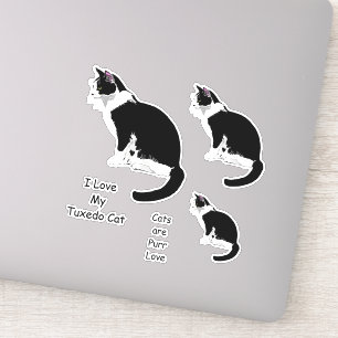 Zwart-wit Tuxedo Cats Sticker Set