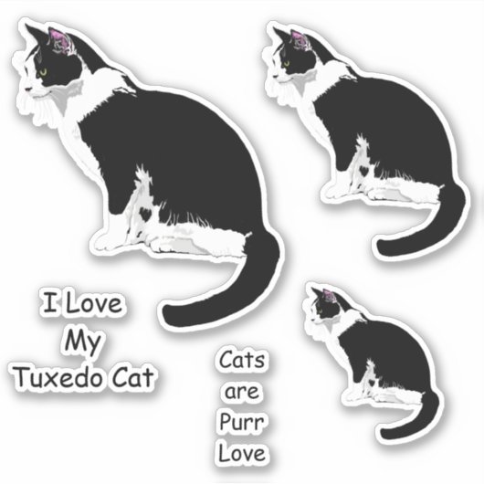 Zwart-wit Tuxedo Katten Sticker Set (Voorkant)