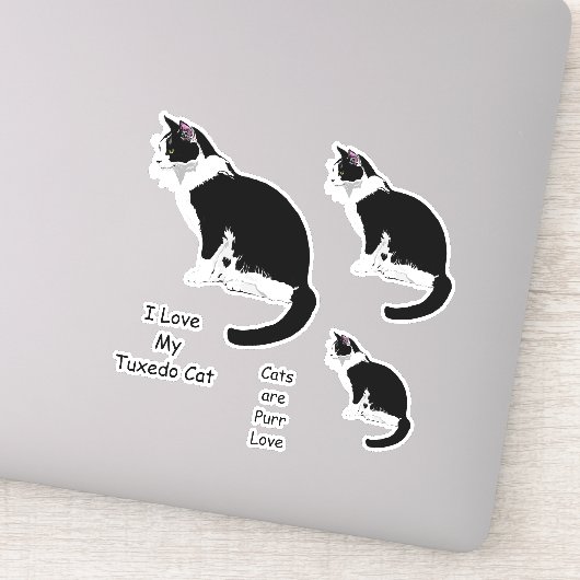 Zwart-wit Tuxedo Katten Sticker Set (Detail)