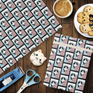 Zwart Wit Tuxedo Kattendekens Schattige Blauw Roze Cadeaupapier