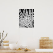 Zwart-wit uitzicht van palmboomschijfjes poster (Keuken)