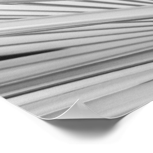 Zwart-wit uitzicht van palmboomschijfjes poster (Hoek)