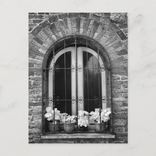 Zwart-wit uitzicht van ramen en bloempotten briefkaart (Voorkant)