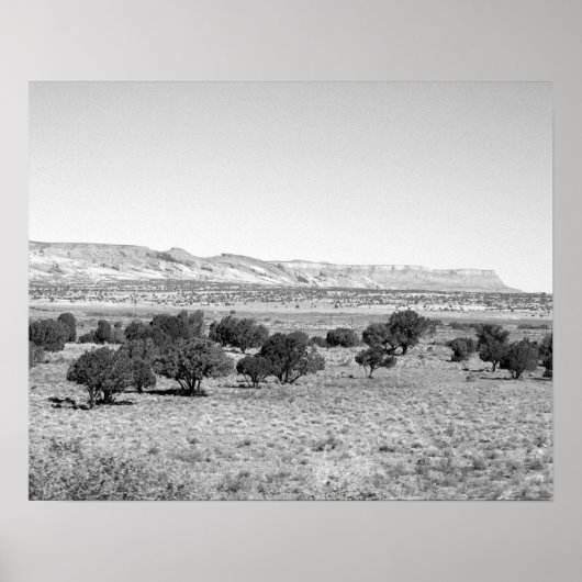 Zwart-wit Utah woestijnlandschap 16x20 Poster (Voorkant)