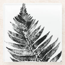 Zwart-wit Varen Leaf Print