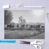 Zwart-wit veld Koeien foto Decoupage Tissuepapier (Craft)