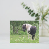 Zwart-wit verf Pony, gras en wilde bloemen Briefkaart (Staand voorkant)