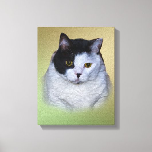 Zwart-wit Vette Kat Canvas Afdruk (Voorkant)
