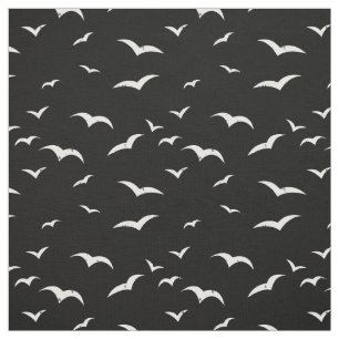 Zwart-wit Vliegende Vogels Verdrietig Kijk Stof