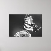 Zwart-wit vlinderdoek canvas afdruk (Voorkant)
