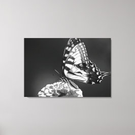 Zwart-wit vlinderdoek canvas afdruk