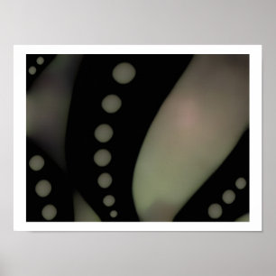 Zwart-wit vloeiend ~ Afdrukken / Poster
