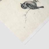 Zwart-wit Vogelkooi Tissuepapier (Detail)