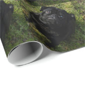 zwart-wit vol.png cadeaupapier (Rol Hoek)