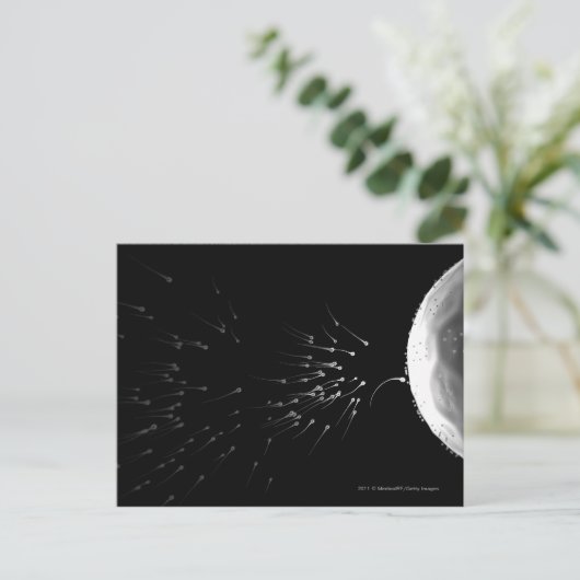 Zwart-wit voorbeeld van bemesting briefkaart (Staand voorkant)