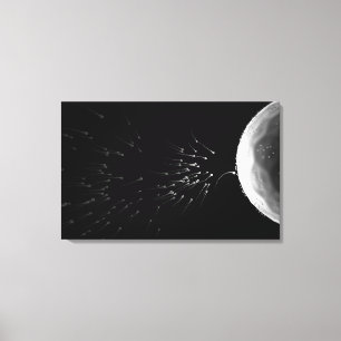 Zwart-wit voorbeeld van bemesting canvas afdruk