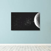 Zwart-wit voorbeeld van bemesting canvas afdruk (Insitu (Houten vloer))