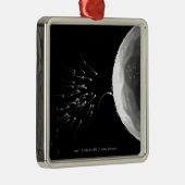 Zwart-wit voorbeeld van bemesting metalen ornament (Rechts)