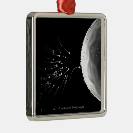 Zwart-wit voorbeeld van bemesting metalen ornament (Rechts)