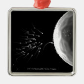 Zwart-wit voorbeeld van bemesting metalen ornament (Voorkant)