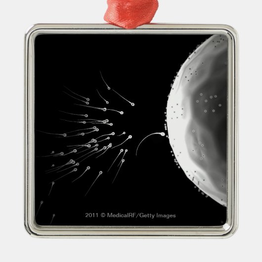 Zwart-wit voorbeeld van bemesting metalen ornament (Voorkant)