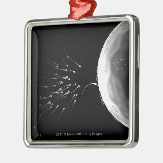 Zwart-wit voorbeeld van bemesting metalen ornament (Links)