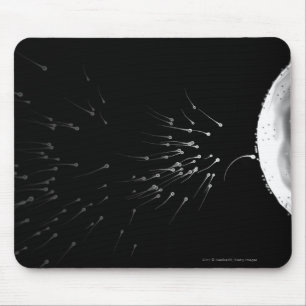 Zwart-wit voorbeeld van bemesting muismat