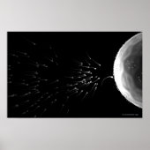 Zwart-wit voorbeeld van bemesting poster (Voorkant)