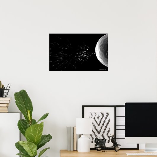 Zwart-wit voorbeeld van bemesting poster (Thuiskantoor)