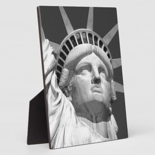 Zwart-wit Vrijheidsbeeld Fotoplaat (Zijkant)