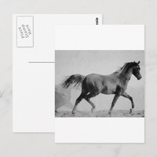 Zwart & Wit Wandelpaard Briefkaart (Voorkant / Achterkant)