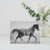 Zwart & Wit Wandelpaard Briefkaart (Staand voorkant)