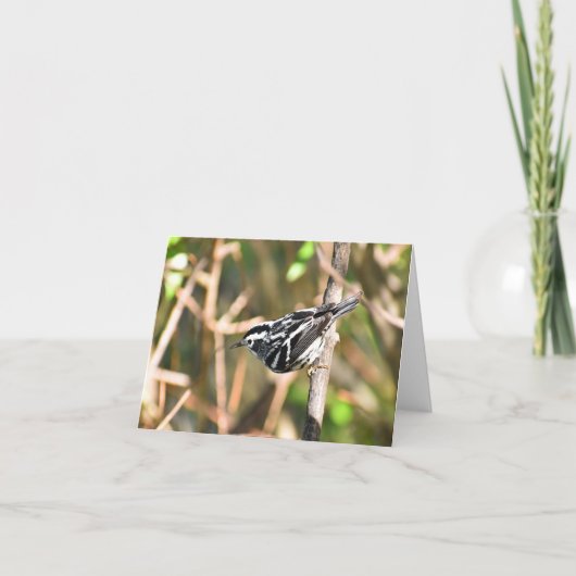 Zwart-wit Warbler #1 - Blank Note Kaart (Voorkant)