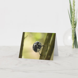 Zwart-wit Warbler #2 - Blank Note Kaart