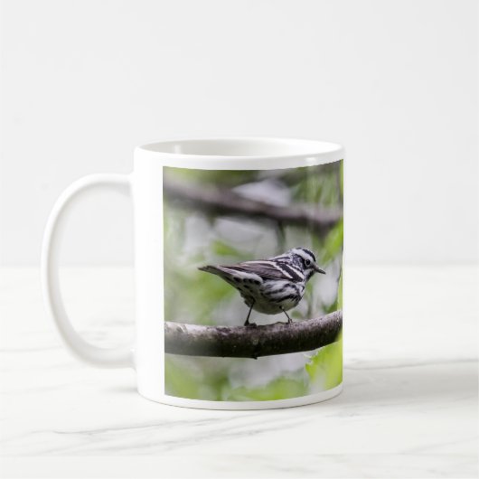 Zwart-wit Warbler Koffiemok (Links)